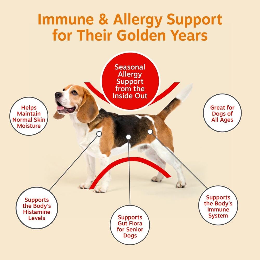 Zesty Paws Allergy & Immune Bites for Dogs – New (90 Soft Chews) Exp 2027 - Picture 3 of 6